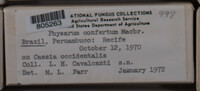 Image Associated With the Occurence